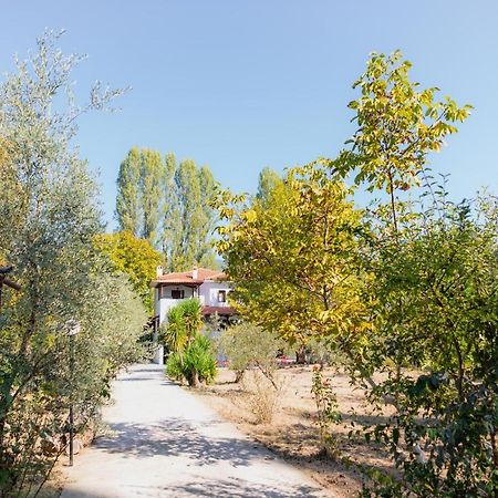 Diamond Farm Villa Кала-Нера Екстер'єр фото