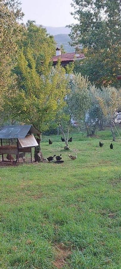 Diamond Farm Villa Кала-Нера Екстер'єр фото
