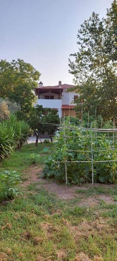Diamond Farm Villa Кала-Нера Екстер'єр фото